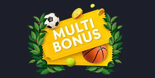 Royal Coins 2: Hold and Win 100% bonus na AKO sázky